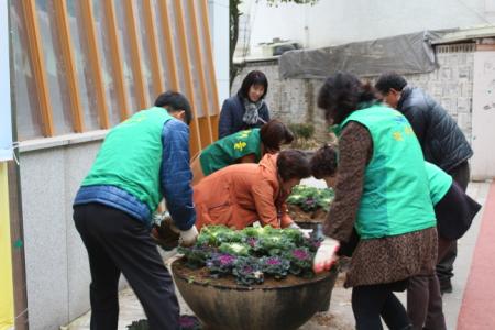 율천동&#44; 골목길 아름다운 겨울꽃 식재